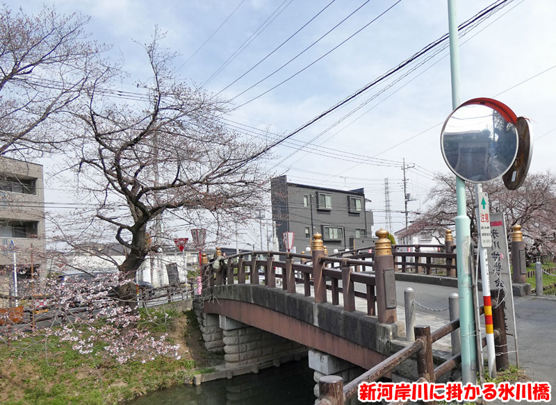 新河岸川に掛かる氷川橋