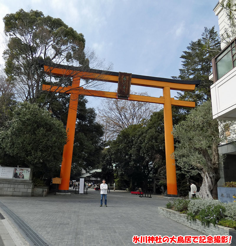 氷川神社の大鳥居で記念撮影