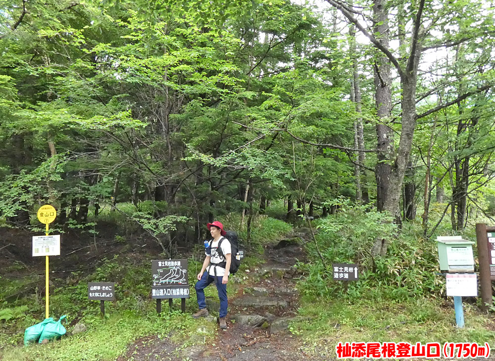 杣添尾根登山口