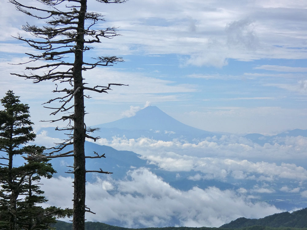 杣添尾根・富士山を眺望