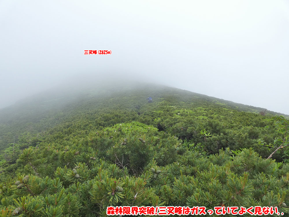 杣添尾根・森林限界突破