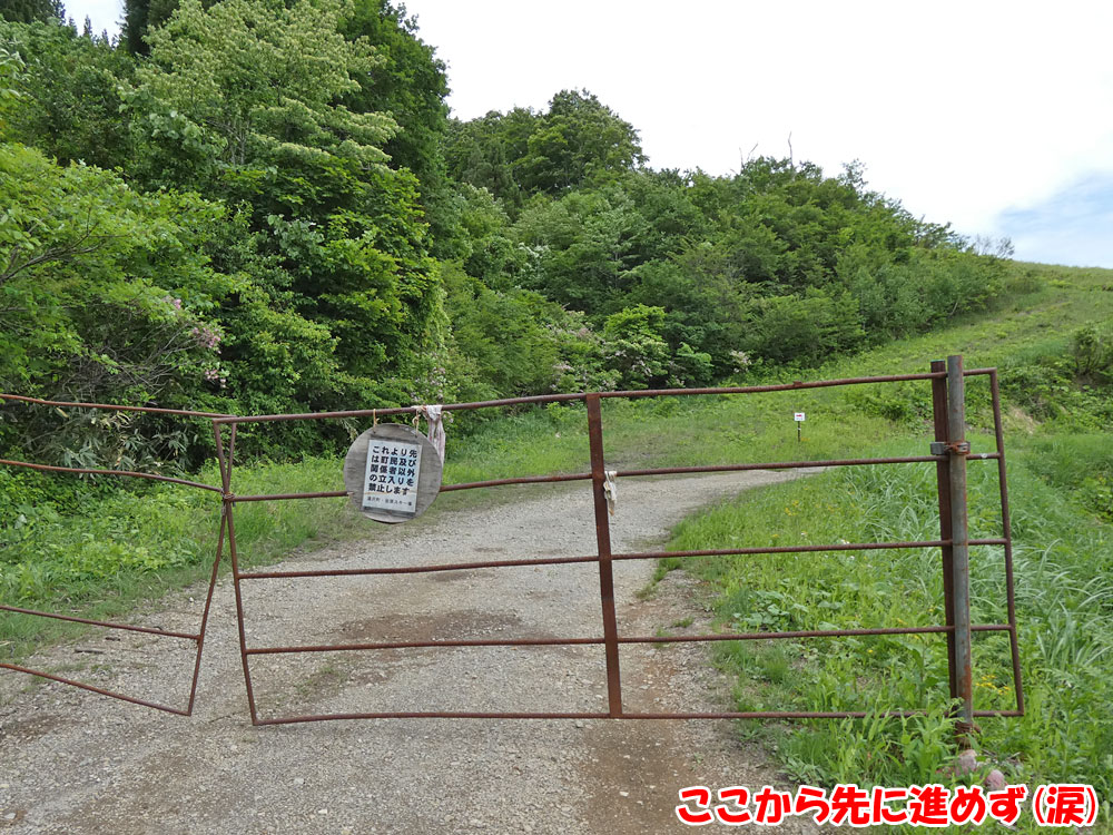 初夏の岩原スキー場に旅行探検しに行ってきました。