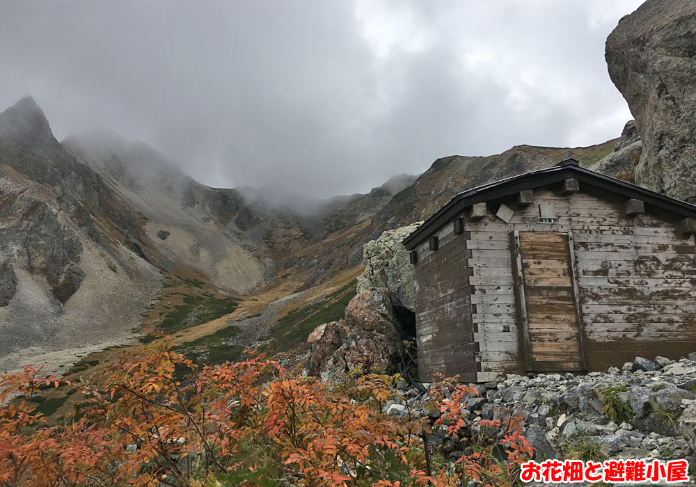 お花畑と避難小屋