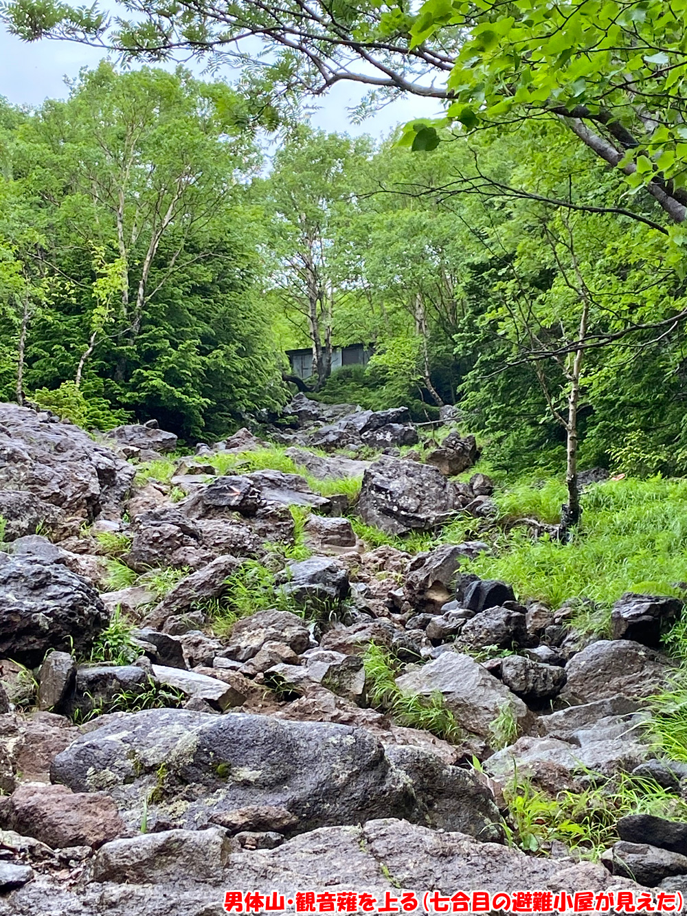 男体山・観音薙を登る