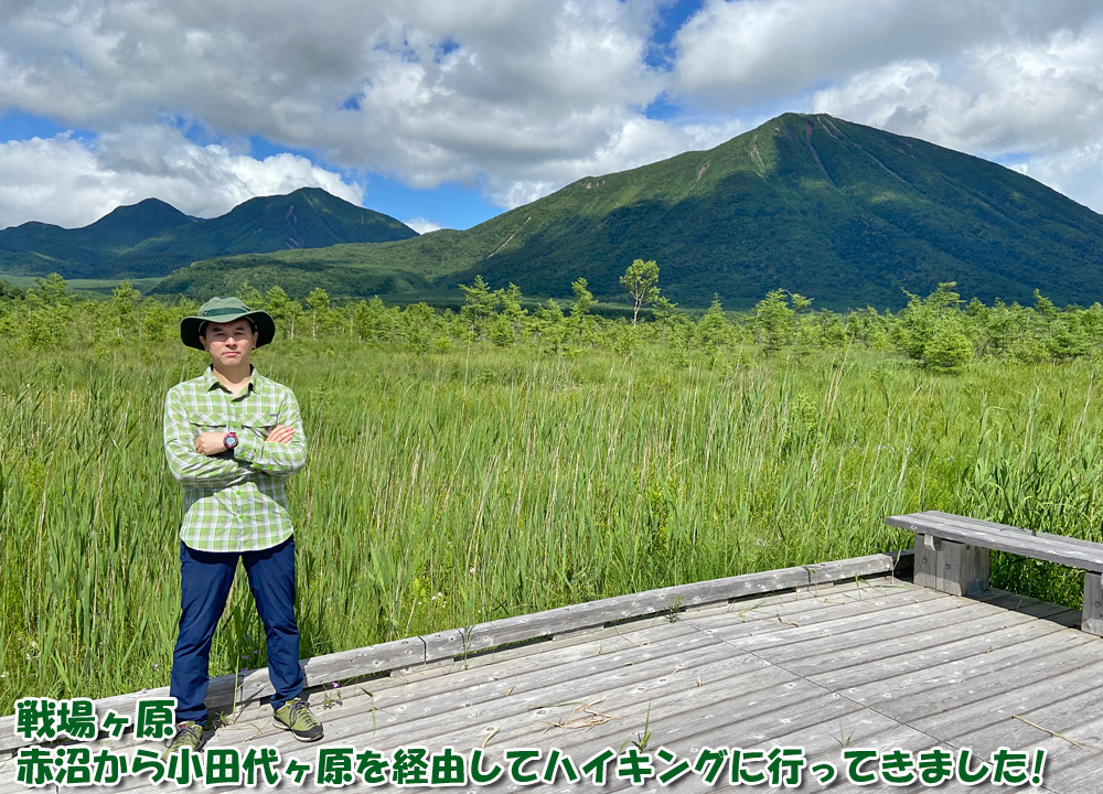 戦場ヶ原へ赤沼から小田代ヶ原を経由してハイキングに行ってきました！