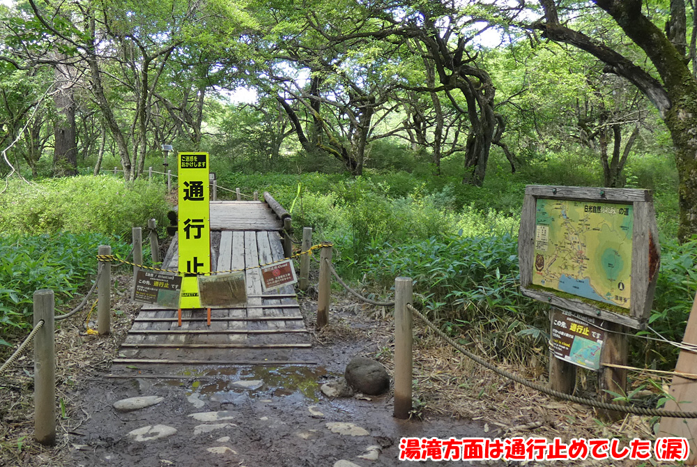 戦場ヶ原・湯滝方面は通行止めでした