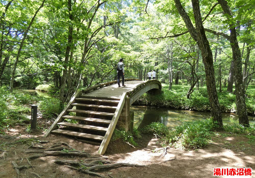 戦場ヶ原・湯川赤沼橋