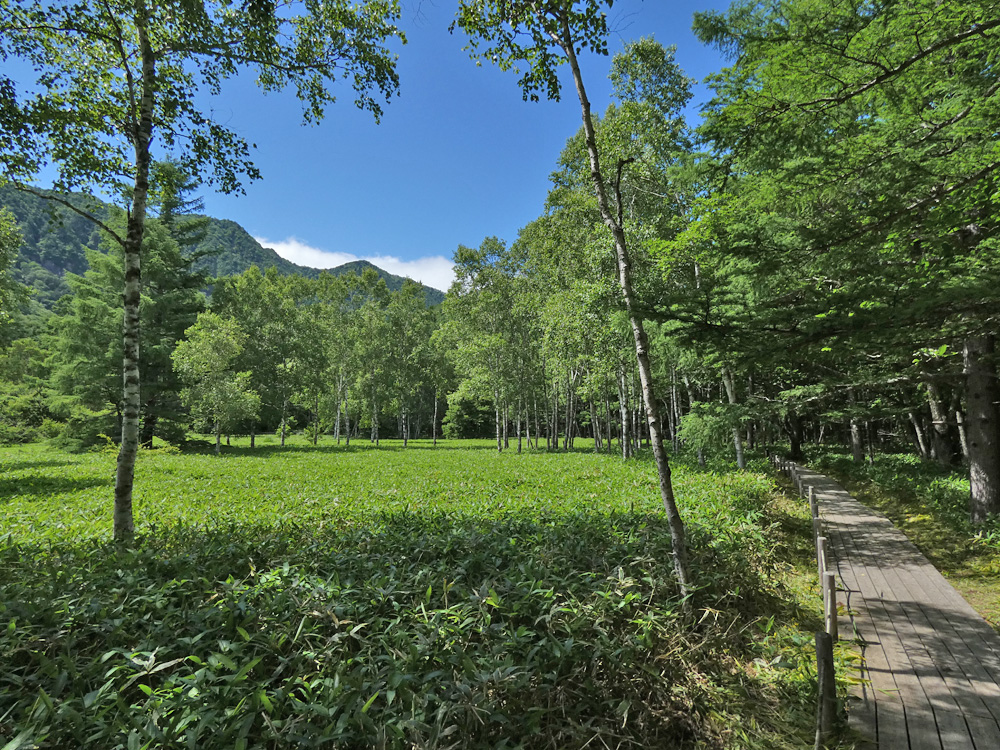 小田代ヶ原