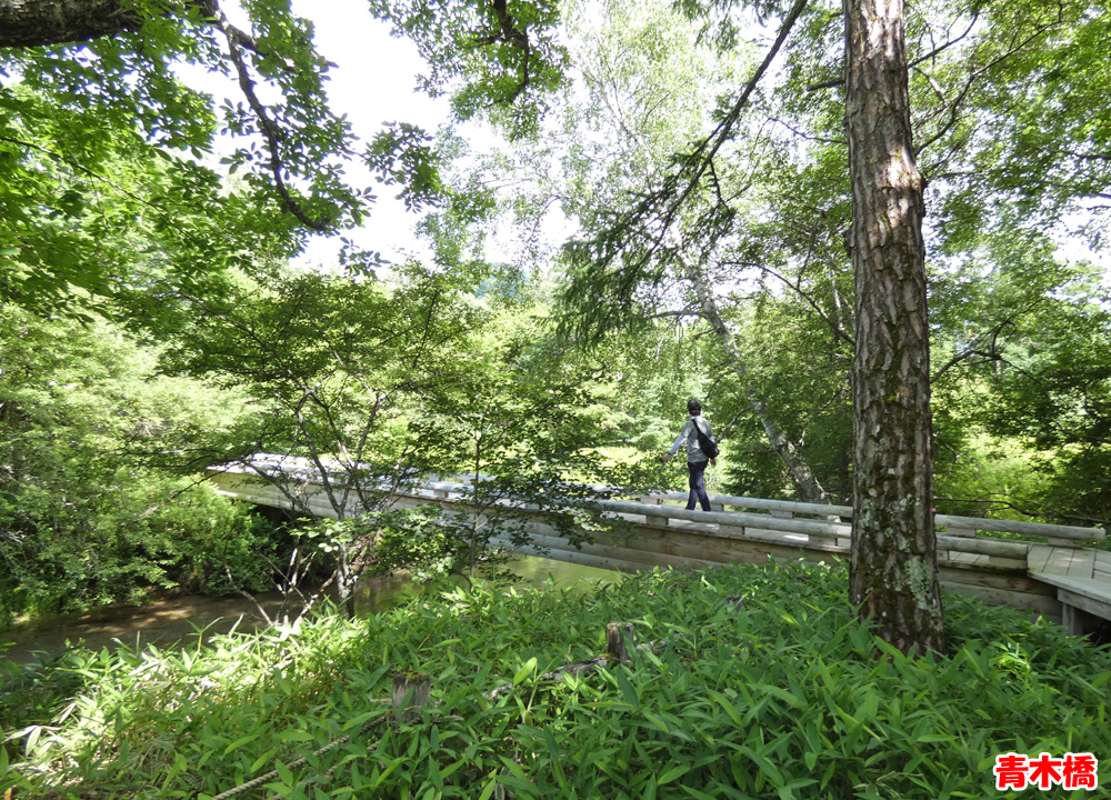 戦場ヶ原・青木橋