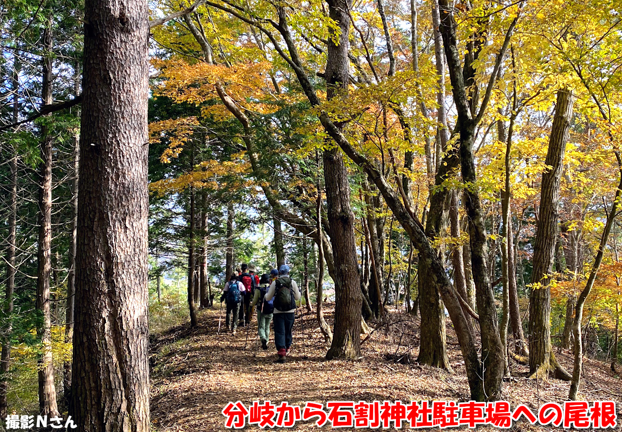 分岐から石割神社駐車場への尾根