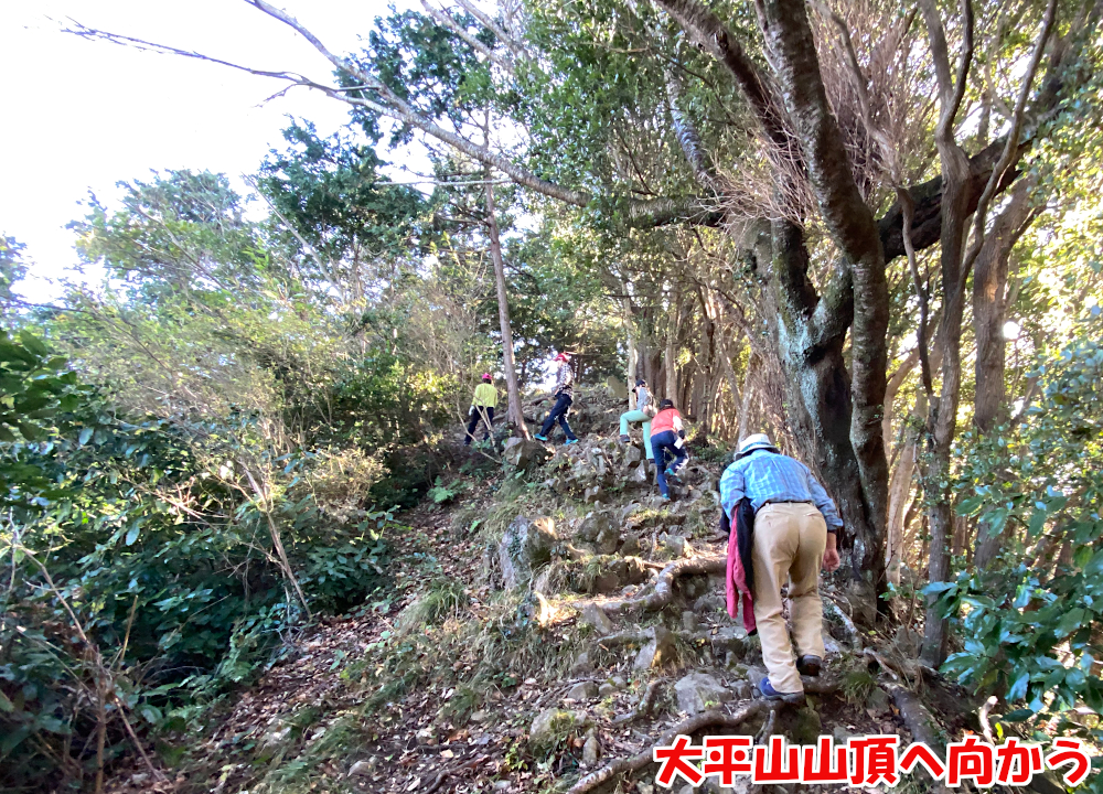 大平山山頂へ向かう