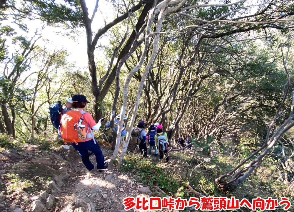 多比口峠から鷲頭山へ向かう