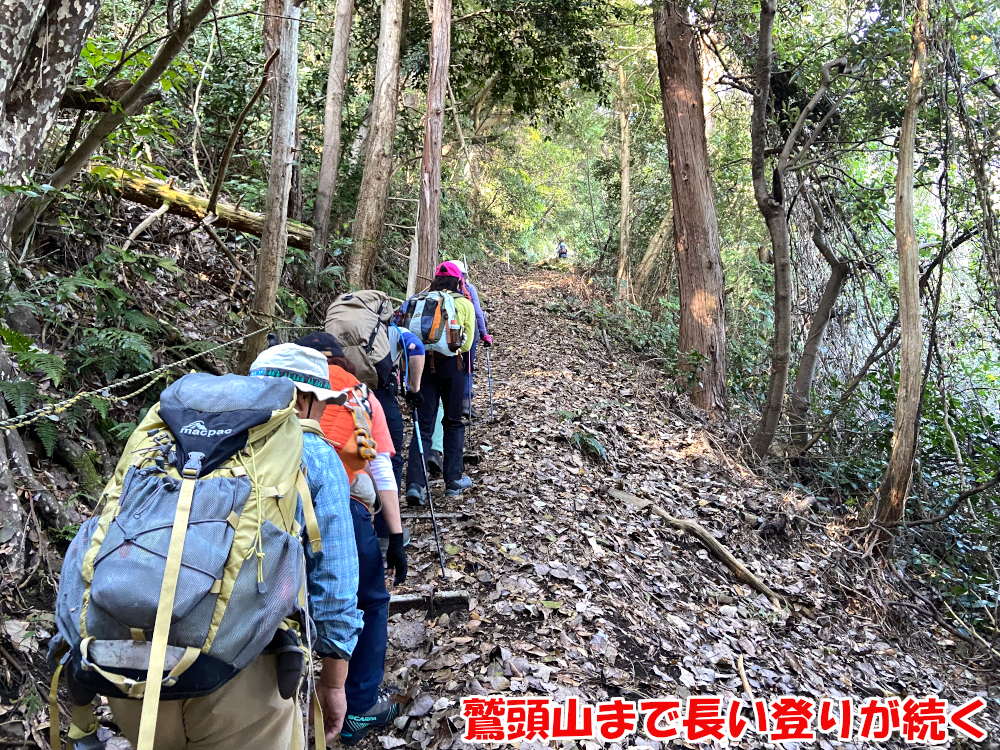 鷲頭山まで長い登りが続く