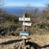 【沼津アルプス縦走】多比口峠〜大平山〜鷲頭山〜香貫山へ・藤沢山の会の方々と登山してきました。