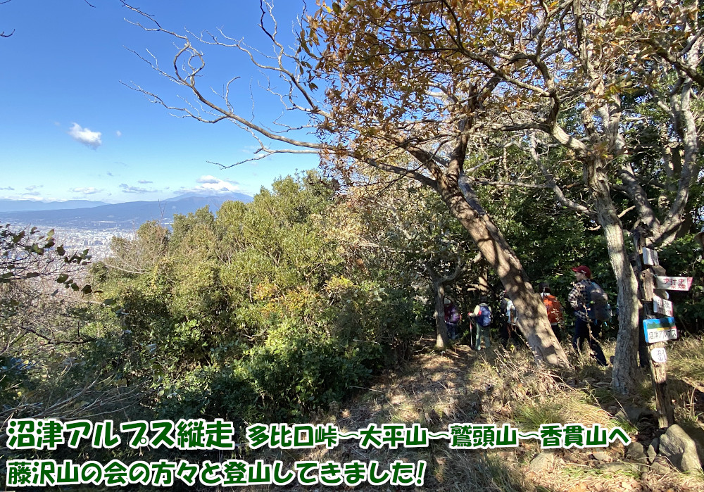 【沼津アルプス縦走】多比口峠〜大平山〜鷲頭山〜香貫山へ・藤沢山の会の方々と登山してきました。