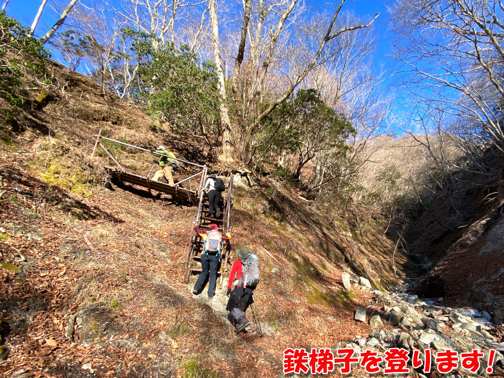 鉄梯子を登ります！