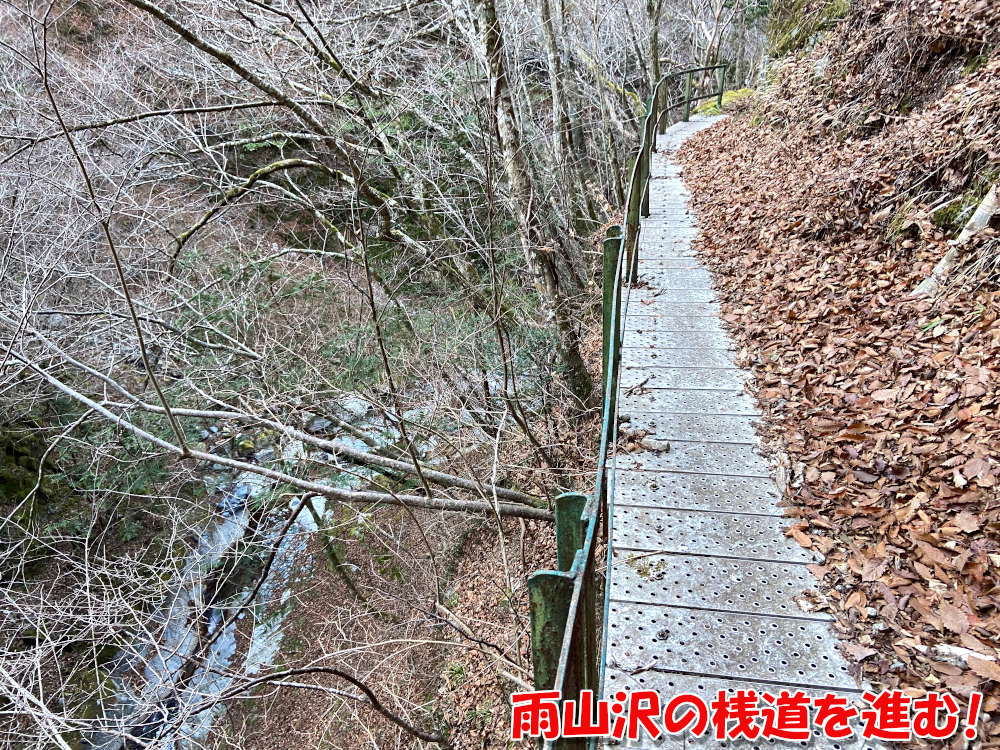 雨山沢の桟道を進む！