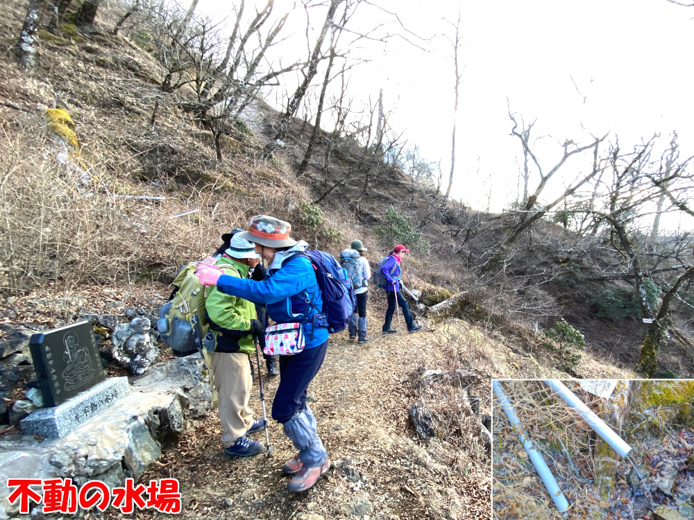 不動の水場