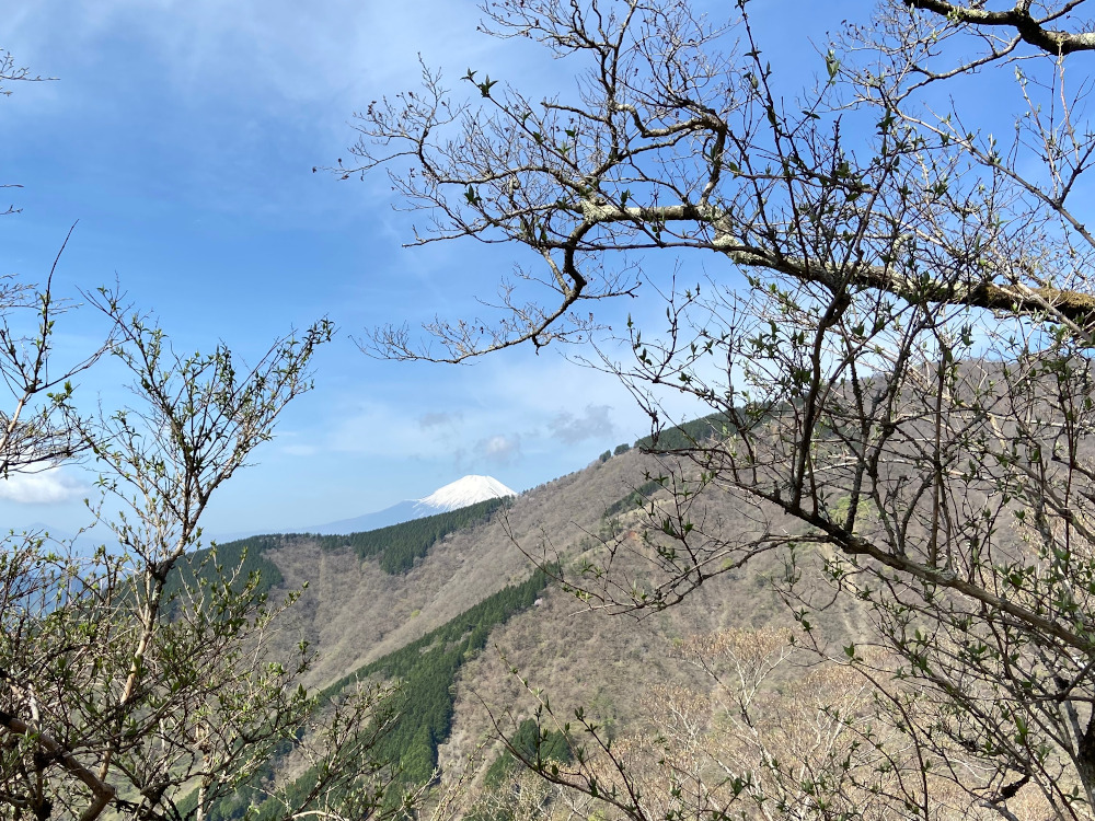 政次郎尾根から富士山が見えた！