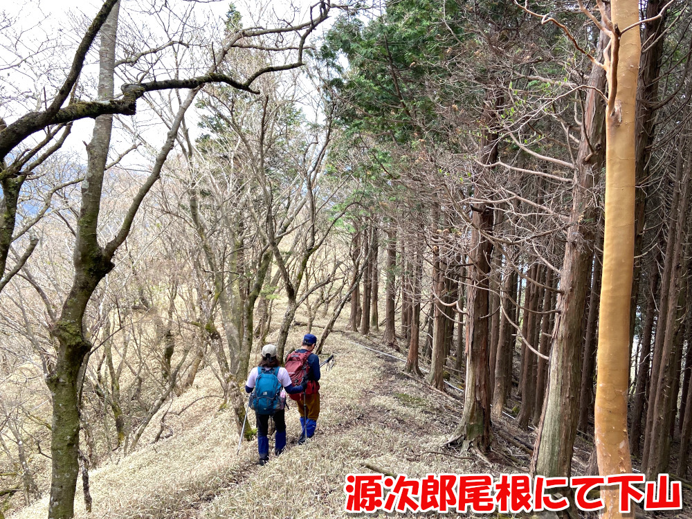 源次郎尾根にて下山