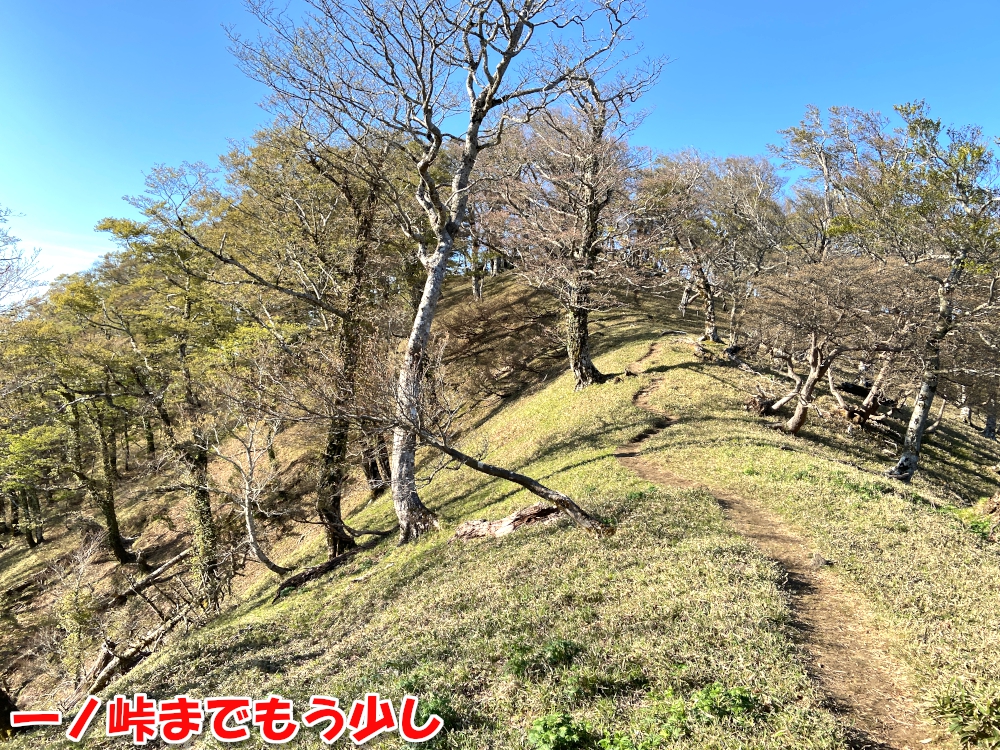 一ノ峠までもう少し