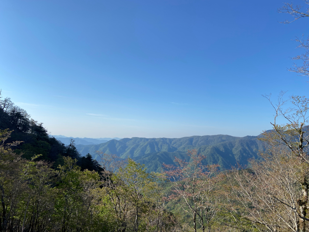 一ノ峠から弁天の森へ進む