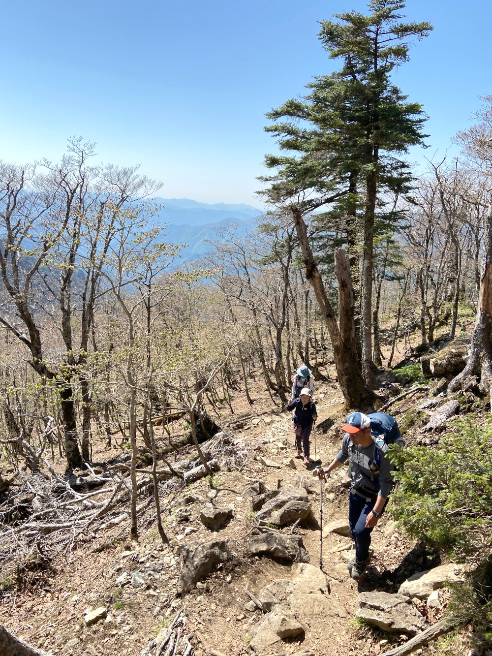 弥山までは長い上りが続きます！