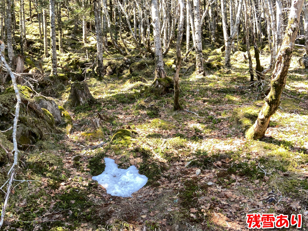 弥山への途中に残雪もあった