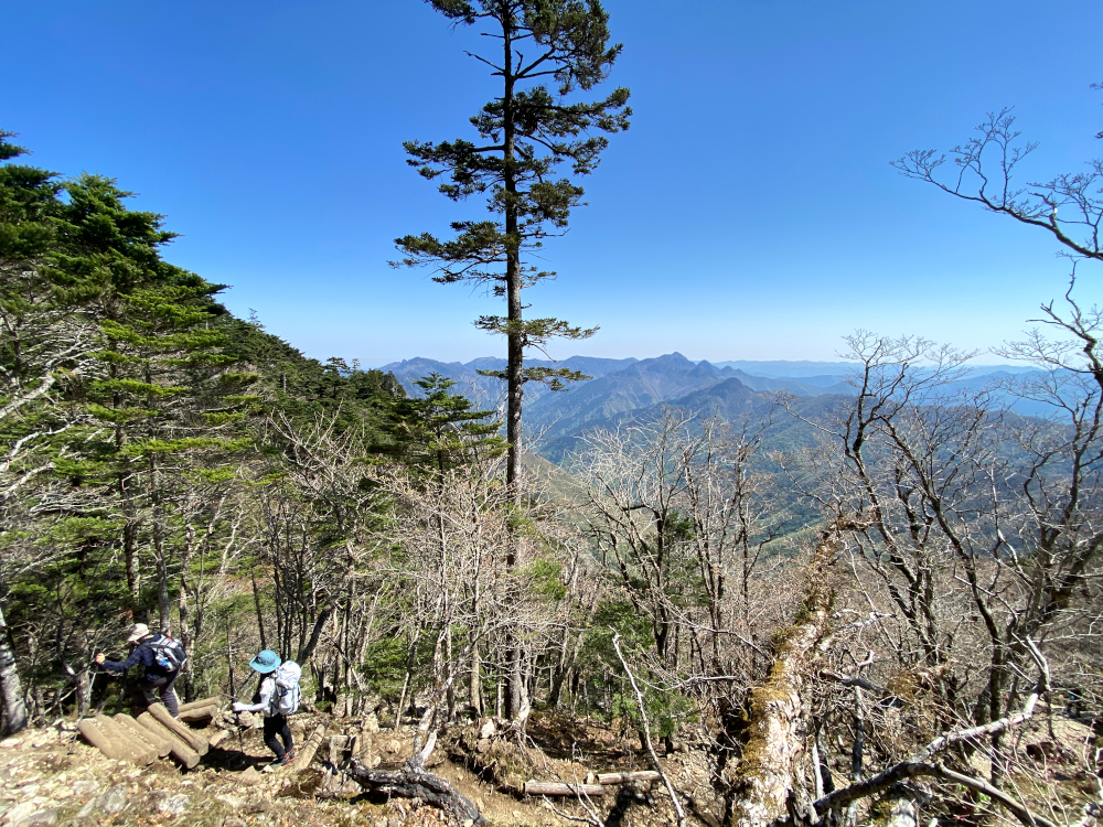 弥山までの上り