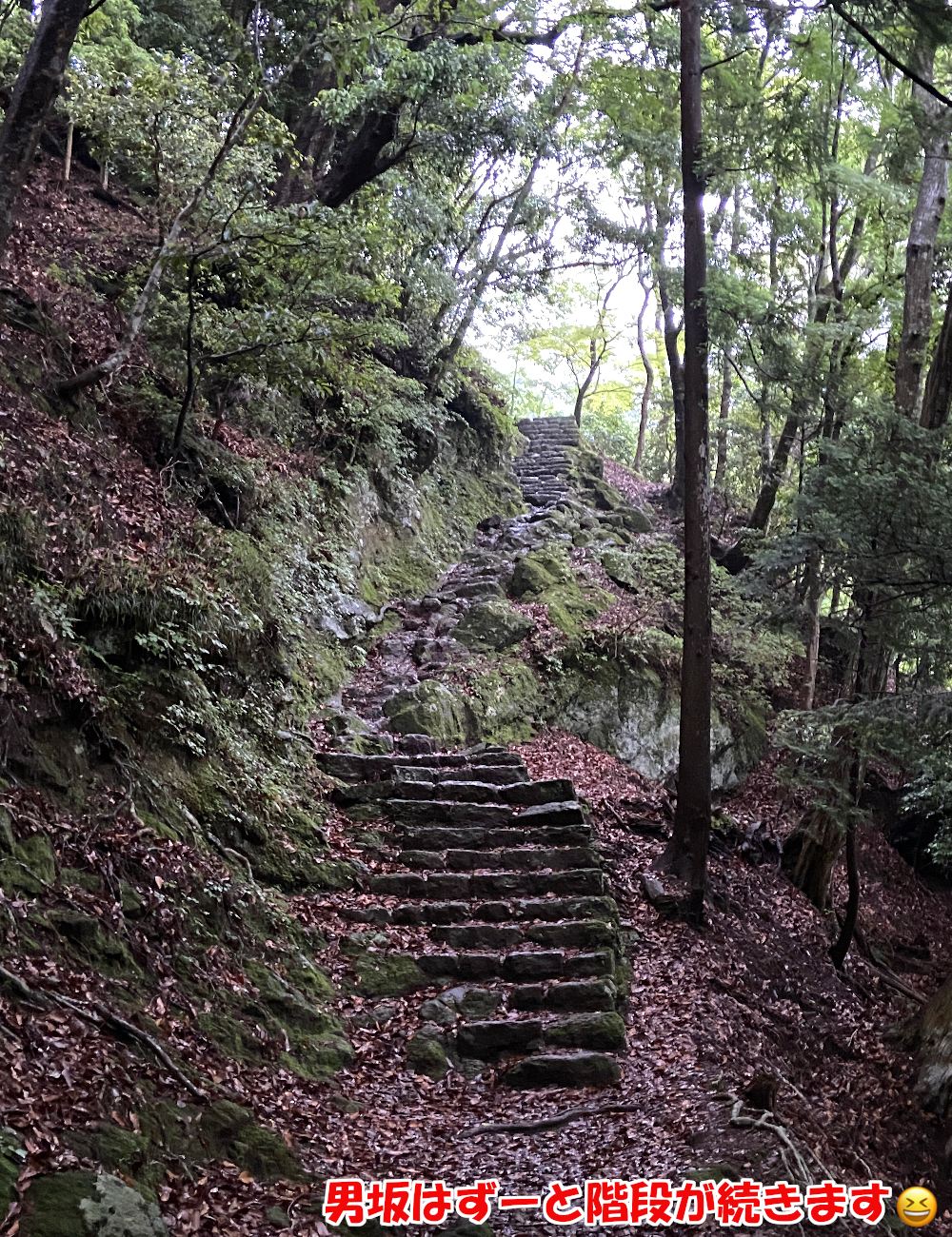 丹沢大山の男坂はずーと階段が続きます