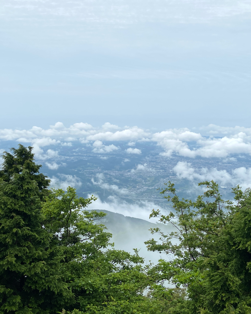 丹沢大山・大山山頂