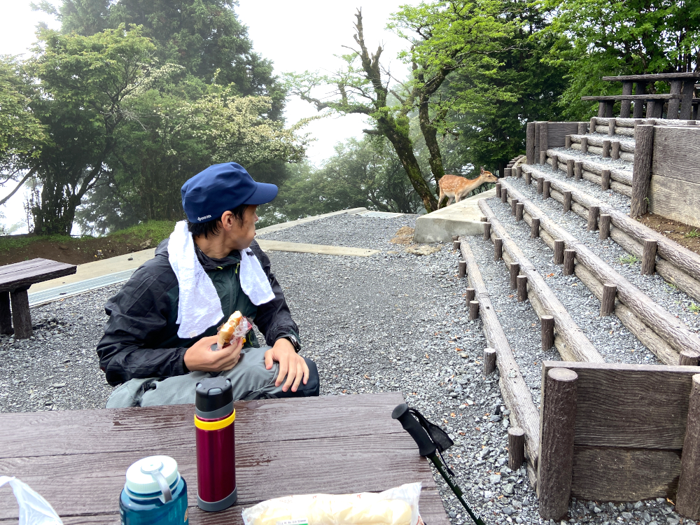 大山山頂茶屋前にて鹿に遭遇