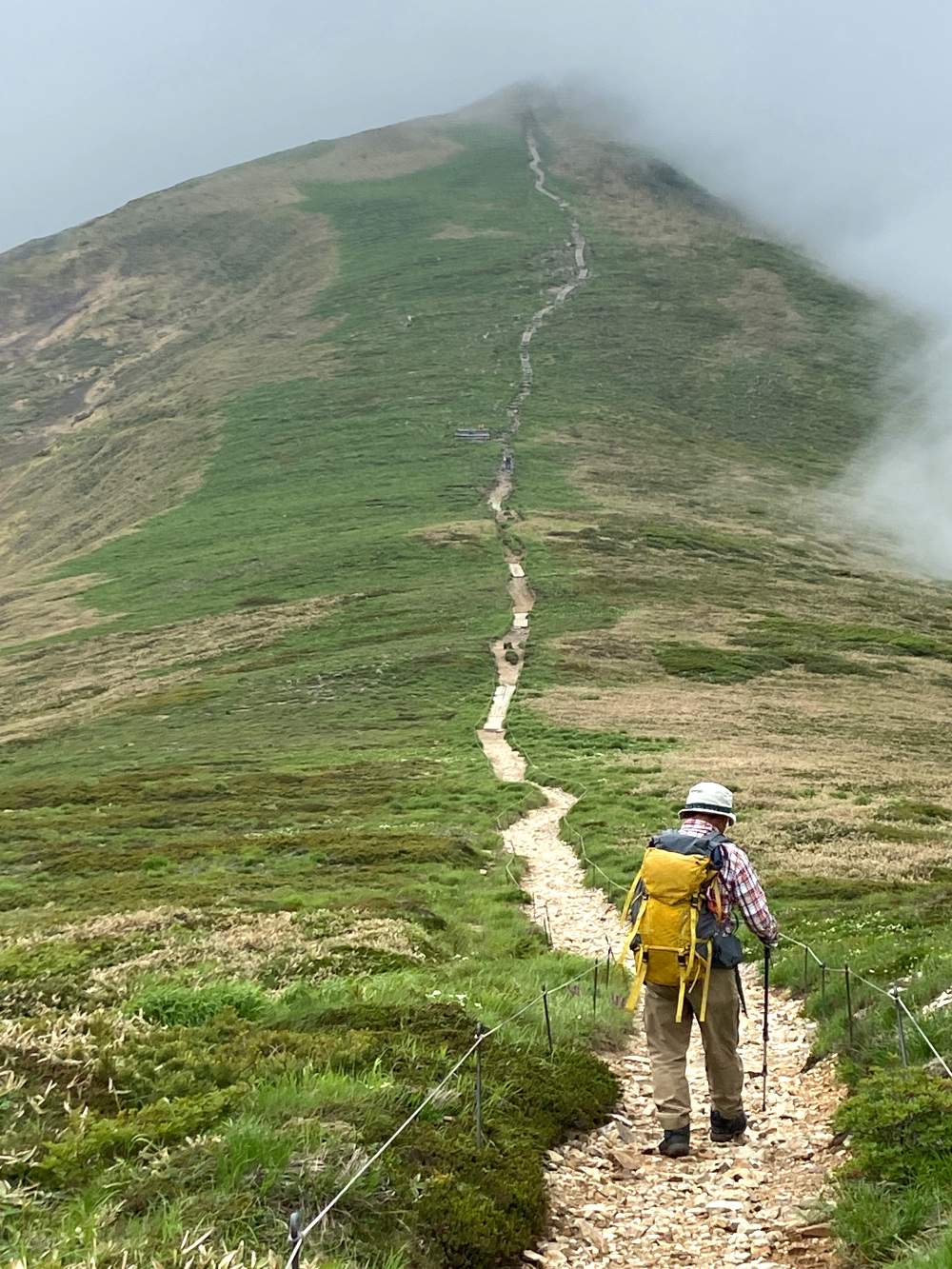 平標山手前のお花畑を再び通過！