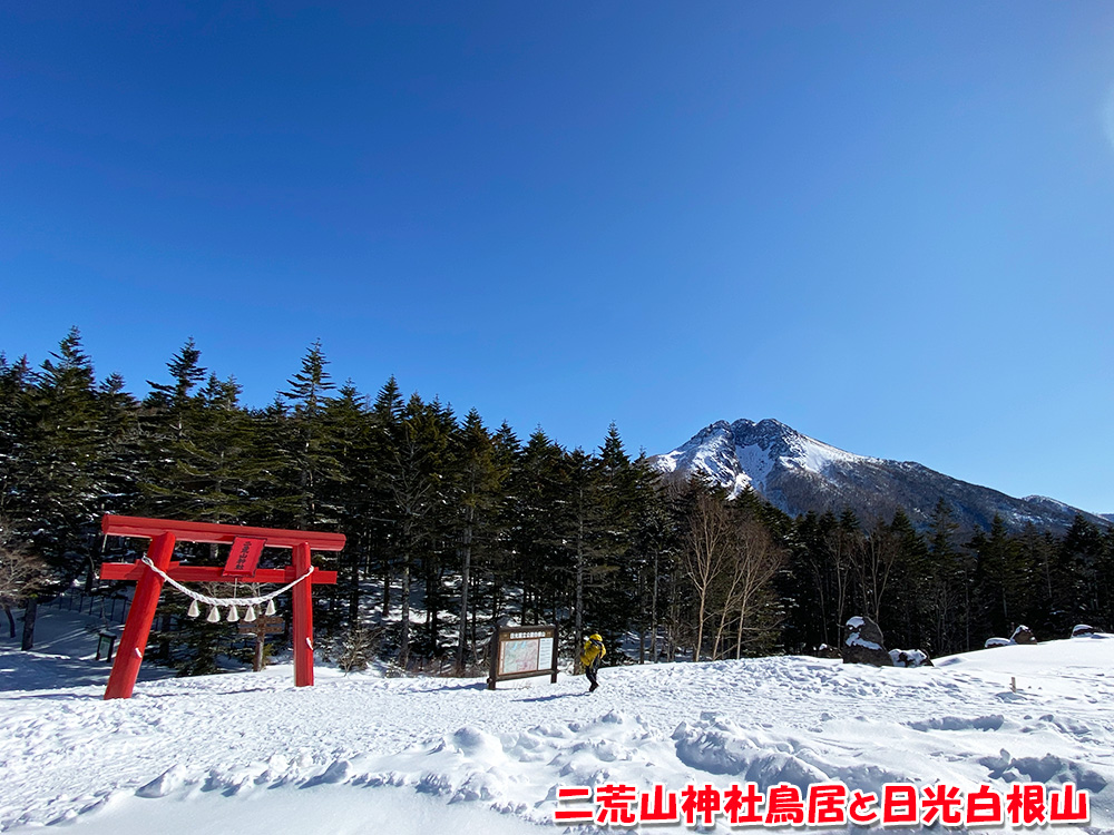 二荒山神社鳥居と日光白根山