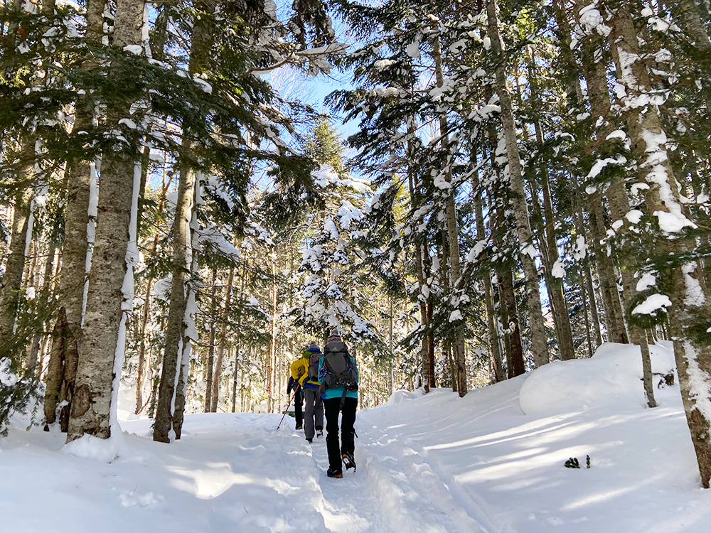 日光白根山へ雪山登山・樹林帯を歩く