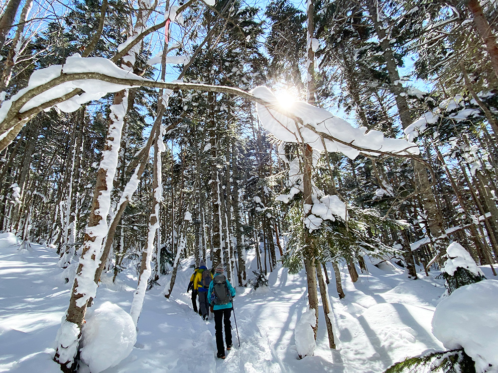 日光白根山へ雪山登山・樹林帯を歩く