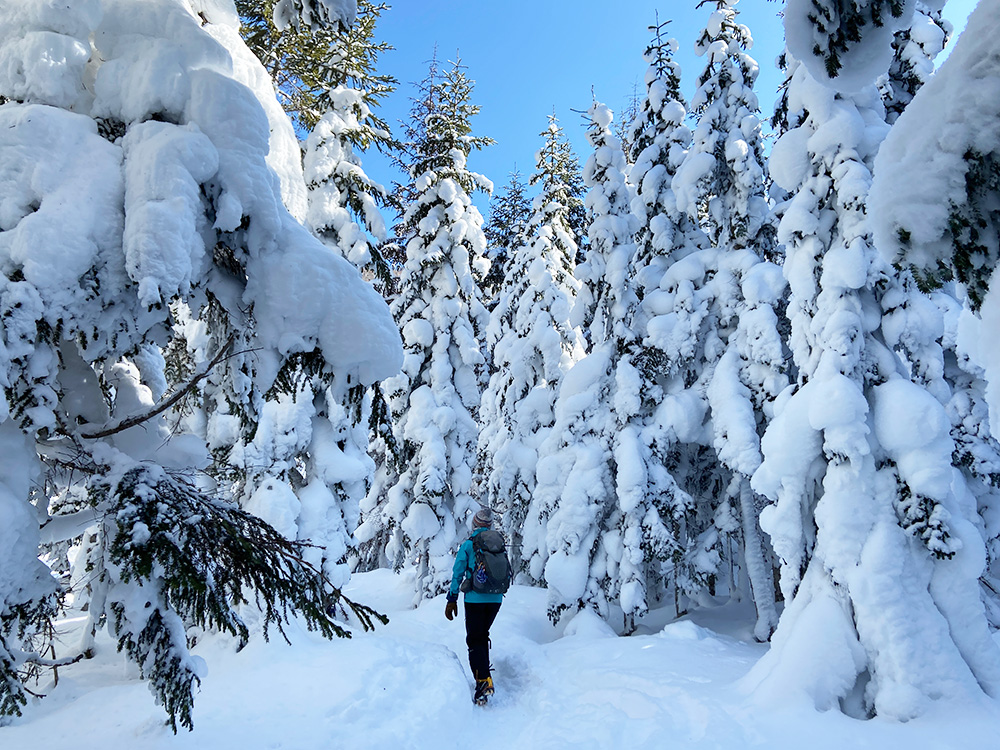 日光白根山へ雪山登山・樹林帯を歩く