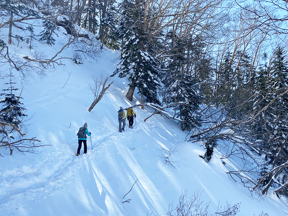 日光白根山へ雪山登山・樹林帯を歩く