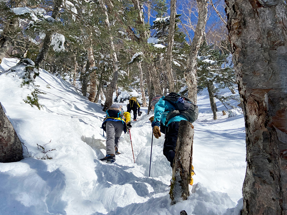 日光白根山へ雪山登山・樹林帯を歩く