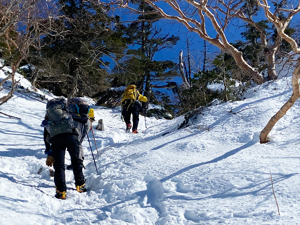 日光白根山へ雪山登山・樹林帯を歩く