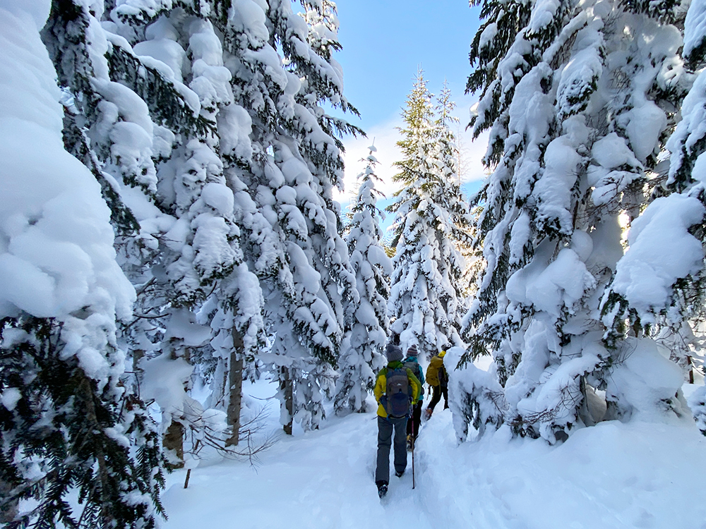 日光白根山へ雪山登山・下山