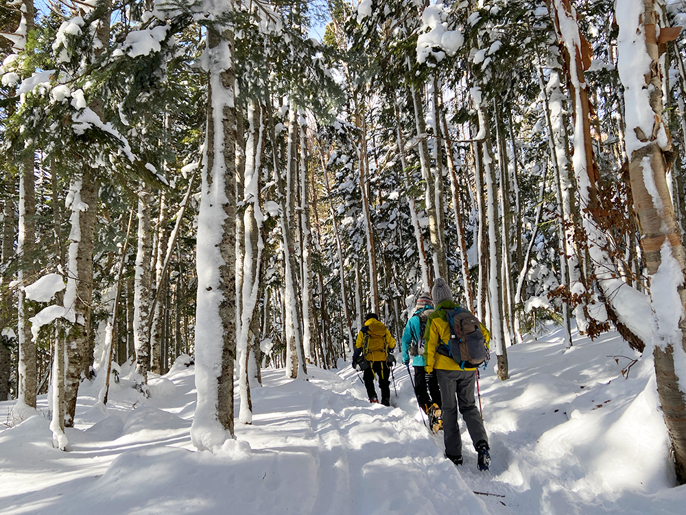 日光白根山へ雪山登山・下山