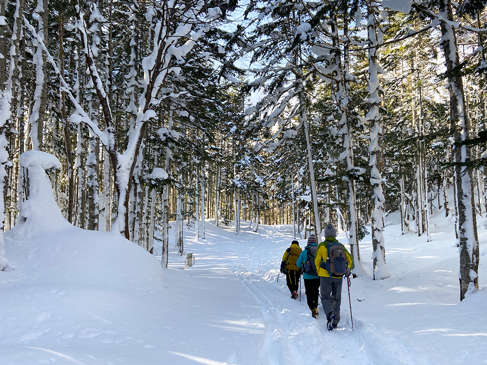 日光白根山へ雪山登山・下山