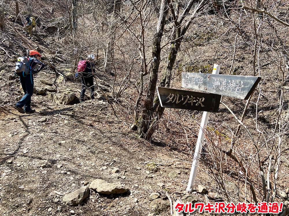 表妙義縦走・タルワキ沢分岐を通過！