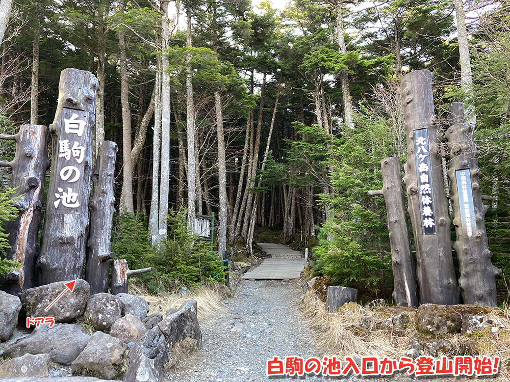 白駒の池入口から登山開始！
