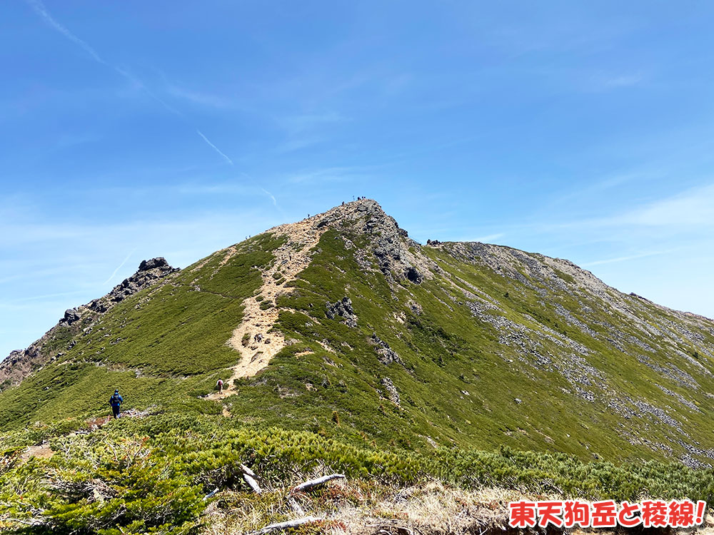八ヶ岳・天狗岳の絶景を堪能！東天狗岳と稜線！