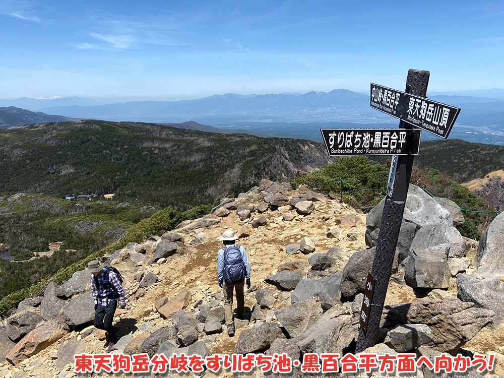 八ヶ岳・天狗岳の絶景を堪能！東天狗岳分岐をすりばち池・黒百合平方面へ向かう！