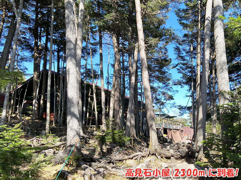 八ヶ岳・天狗岳の絶景を堪能！高見石小屋（2300m）に到着！