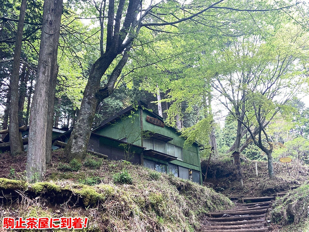 駒止茶屋に到着！
