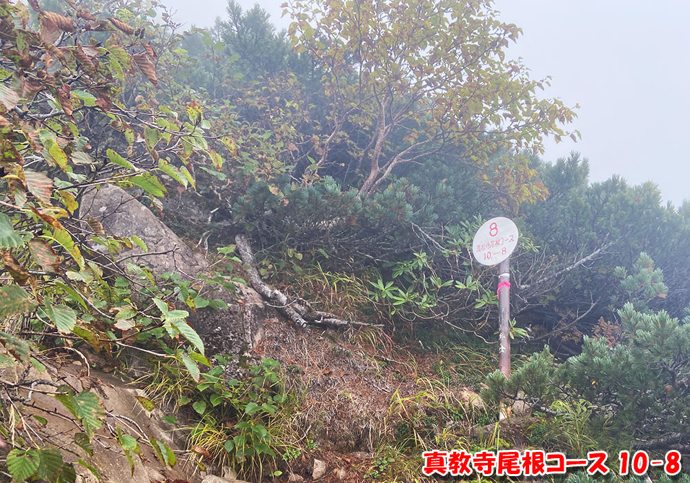 真教寺尾根コース 10-8
